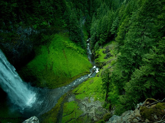 Nature and Humanity